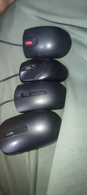 ماوس للببيع