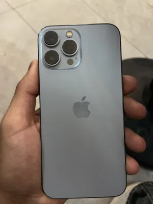 13 Pro Max