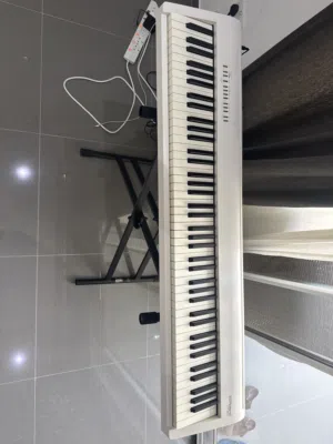 Roland Piano FP-30x