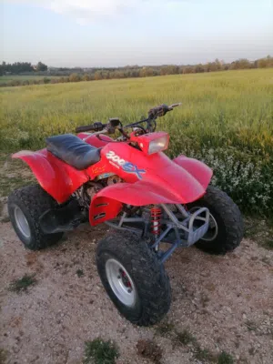 Hounda 300 ex