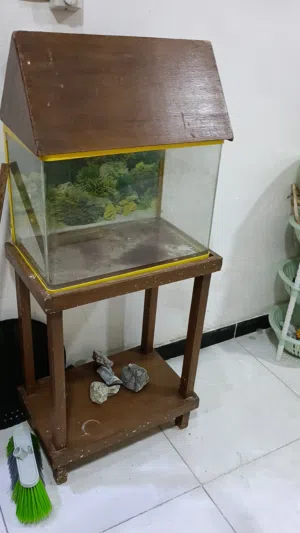 حوض سمك مع ميز وقبق