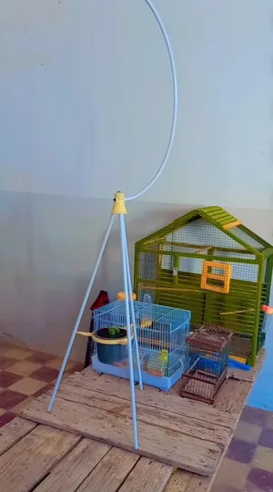 Accessories . Birds & Poultry0