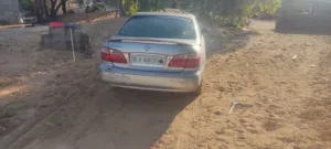 مكسيما  جي في