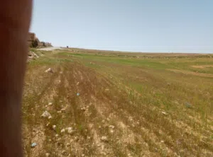Residential Land for Sale in Mafraq Idoun