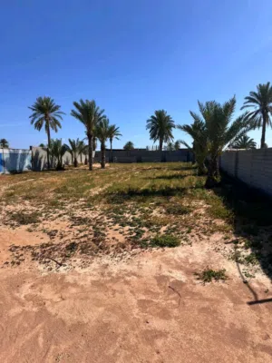 Mixed Use Land for Rent in Misrata Other