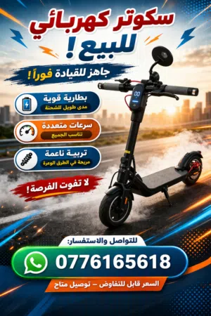 تروتينات كهربائية