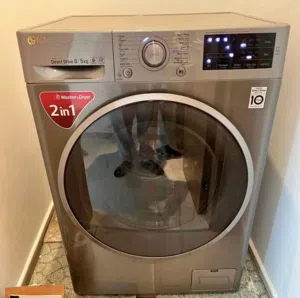 LG new model washer dryer 2in1 perfect condition excellent