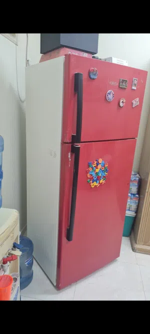 BEST refrigerator