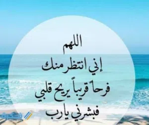 الناصري 