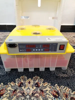 مفقسة جميع البيوض أوتوماتيكية ذكية