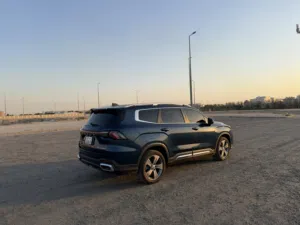 جيلي اوكافانغو 2025