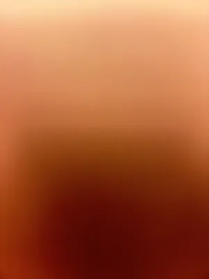 مشروع مطعم دايت للبيع