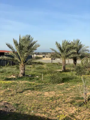 مزرعه للبيع