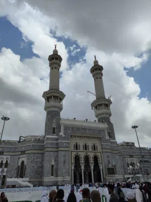 مطلوب شقه عزاب
