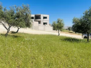 Farm Land for Sale in Zarqa Al-Alouk