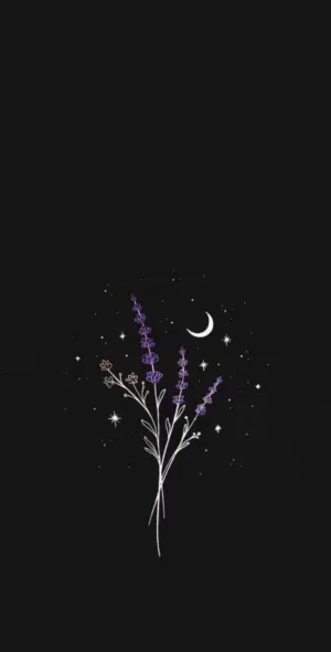 اميرة سلامة 