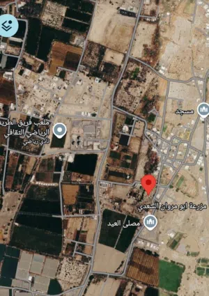 Farm Land for Sale in Al Batinah Al Masnaah