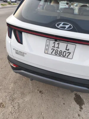توسان خليجي