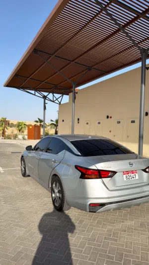 التيما 2019 للبيع