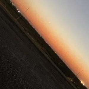 محمد 