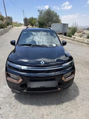 Used Dongfeng EX1 in Ajloun
