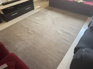 Home Centre Hand Woven Wool Rug