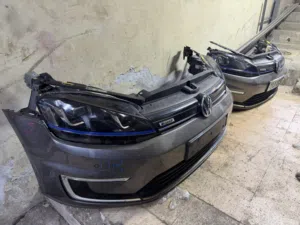 E golf 2015-2016