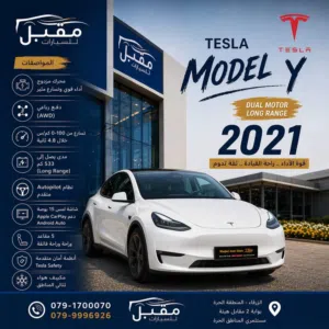 TESLA MODEL Y 2021 Dual Motor Long Range