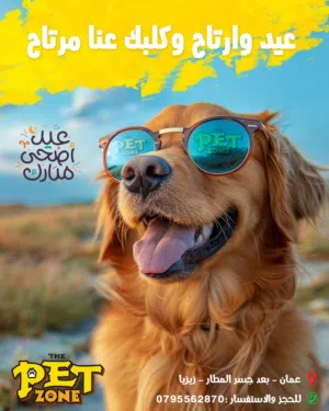 .......Dog hotel