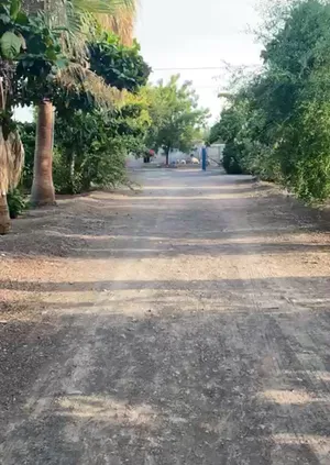 4 Bedrooms . Furnished . Daily1