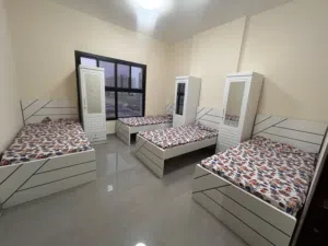 Bed Space Only For Ladies New Building Clean Apartment