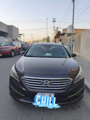 هوندا سوناتا امريكي
