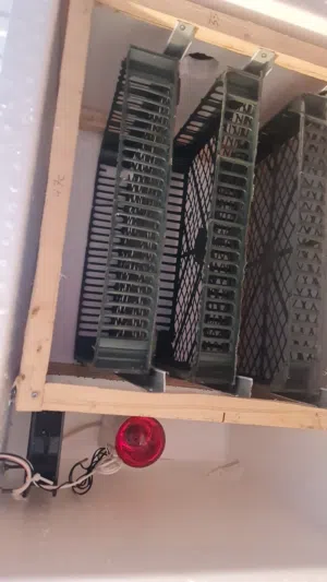 فقاسات الجزيرة