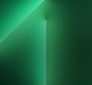 ناصر الهنائي 