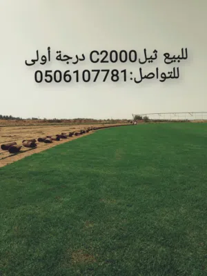 للبيع ثيل C2000 درجة أولى