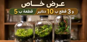 اجعل بيتك مميز ب تيراريوم