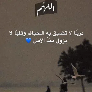 ابو سلطان 