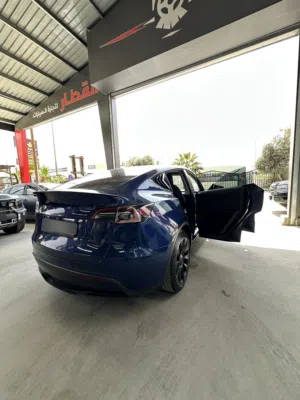 Tesla  Y DUAL MOTOR