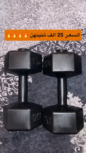12 كيلو العدد 2