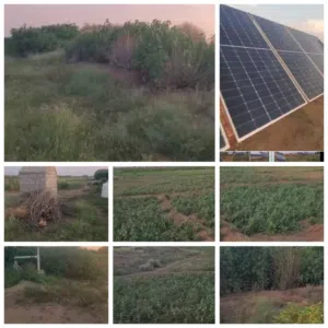 Farm Land for Sale in Al Hudaydah Other