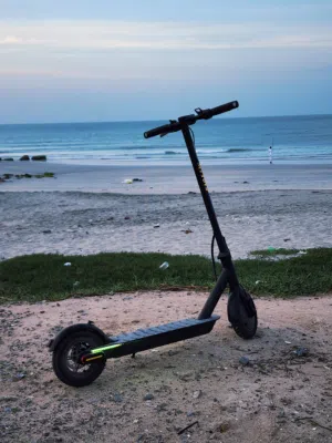 mtoys e scooter