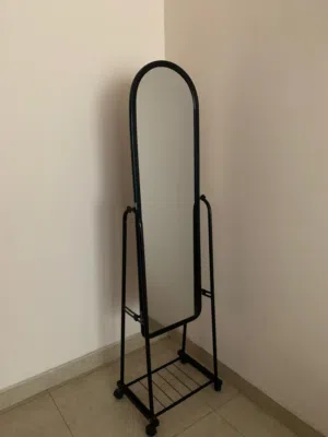 Stand alone mirror
