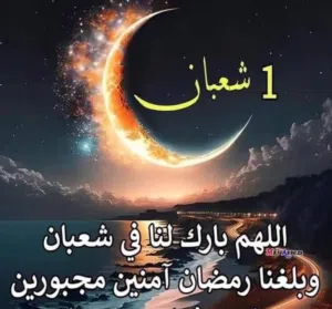 Abdalrhman 