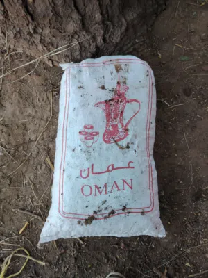 تمور للبيع