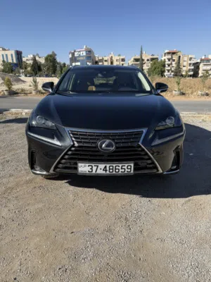 Used Lexus NX in Amman