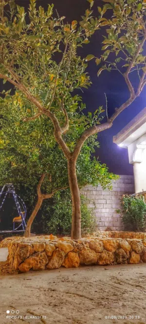 استراحة في شحات