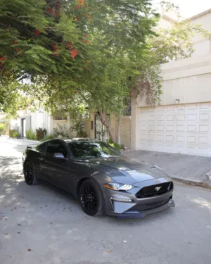 Ford mustang gt 2021