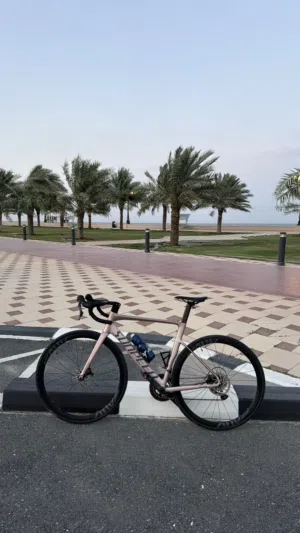 Sunpeed road bike