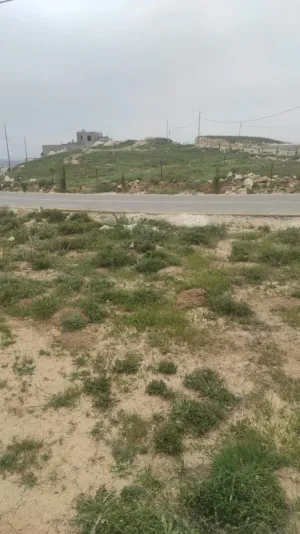 قطعة ارض مربعة الشكل في زواتا