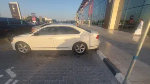 باسات 2013 أعلى فئة